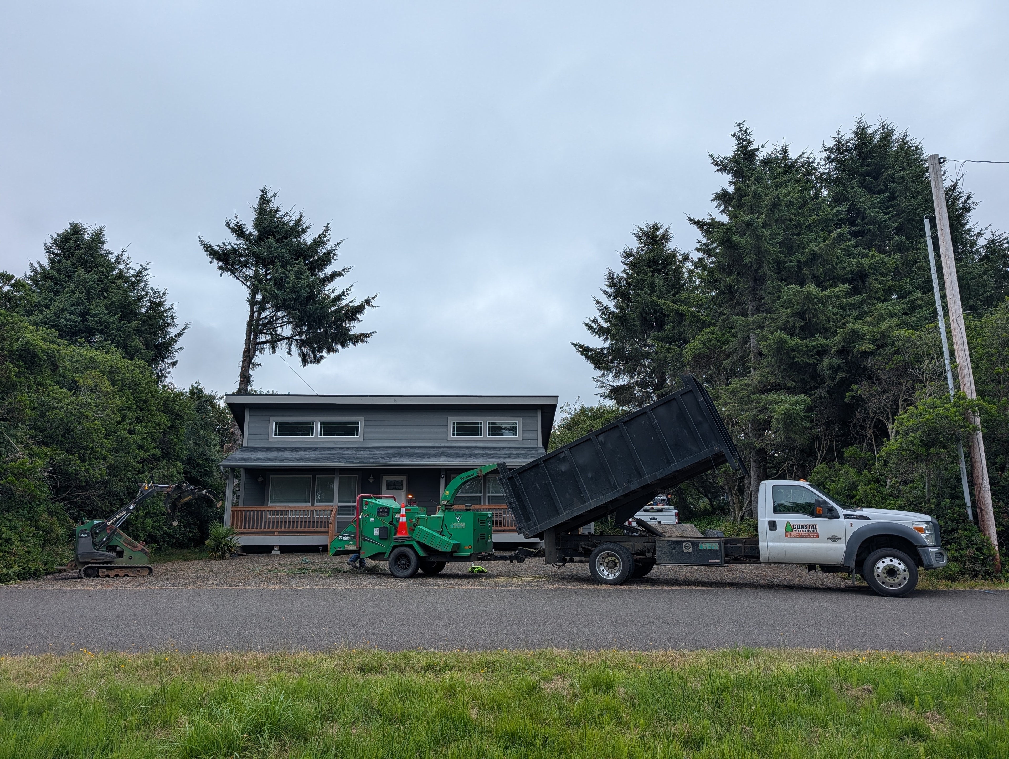 Bucket truck tree removal