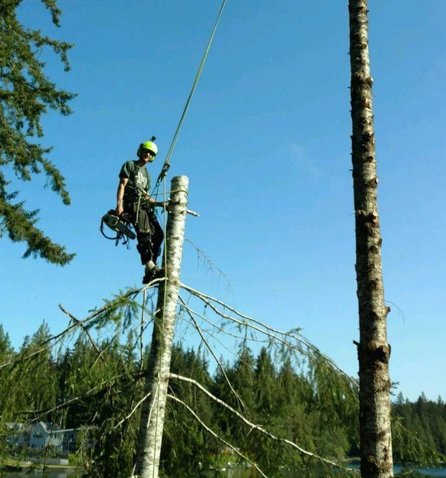 Tree climber with rope safety gear