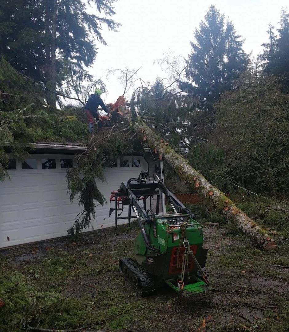 Stump grinding wood chipper
